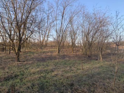 Eladó Telek 2162 Őrbottyán 