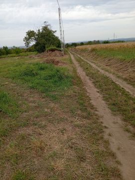 Eladó Telek 2060 Bicske Máléhegy