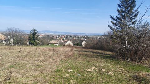 Eladó Telek 2091 Etyek 