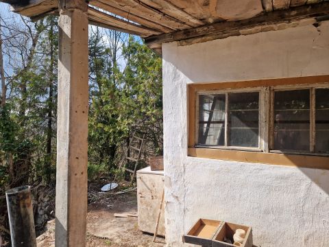 Eladó Ház 1028 Budapest 2. kerület ***TERMÉSZETKÖZELI MADÁRCSICSERGŐS HÁZIKÓ***