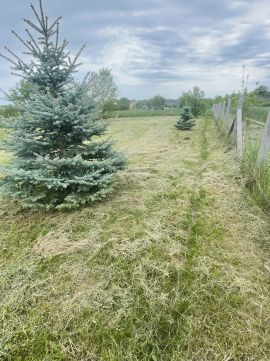 Eladó Telek 8152 Kőszárhegy , Táncsics u.