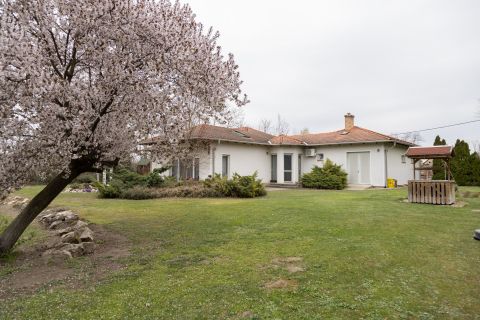 Eladó Ház 2351 Alsónémedi , Eladó önálló családi  ház nagy telekkel 