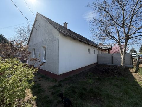 Eladó Ház 2241 Sülysáp Szőlősnyaraló