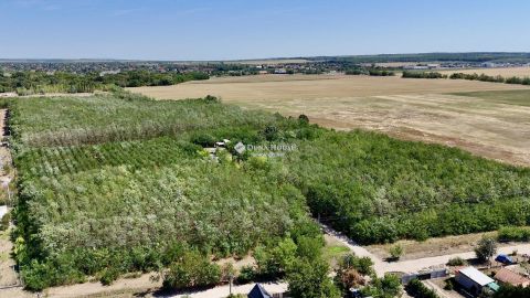 Eladó Telek 2230 Gyömrő Ipari Telek, Rengeteg Lehetőséggel