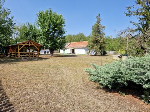 Eladó Ház 6078 Jakabszállás , Hangulatos tanya eladó 4 Ha erdővel!