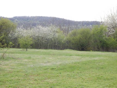 Eladó Telek 8654 Ságvár , Ságváron remek elhelyezkedésű, közművesített építési telek