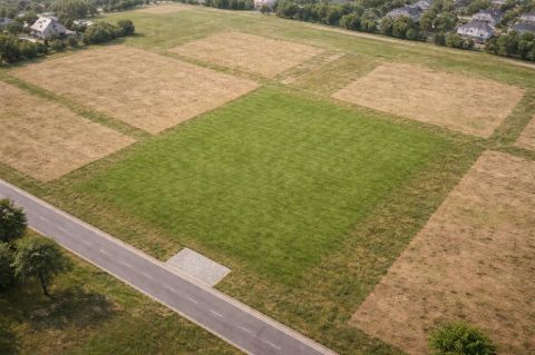 Eladó Telek 8151 Szabadbattyán , 8151 Szabadbattyán, Zártkert