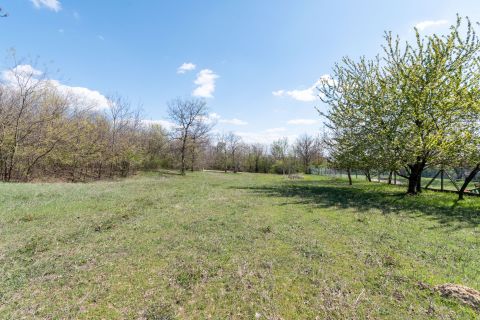 Eladó Telek 8096 Sukoró 