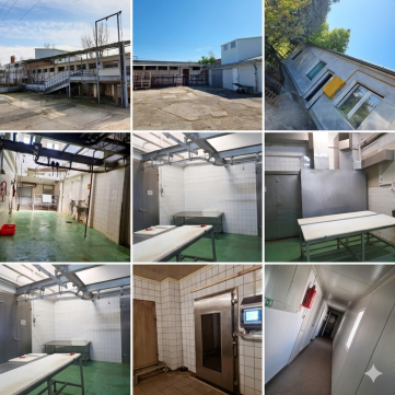 Eladó Ipari 6800 Hódmezővásárhely , Ipari ingatlan és feldolgozóüzem stratégiai csomópontban