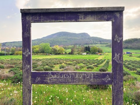 Eladó Telek 8258 Badacsonytomaj , Csángó