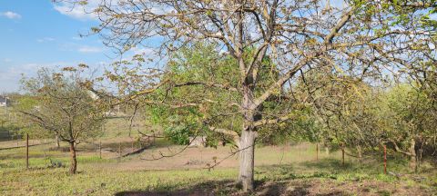 Eladó Telek 2330 Dunaharaszti , Természetvédelmi területhez közel