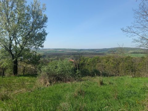 Eladó Telek 2889 Súr 