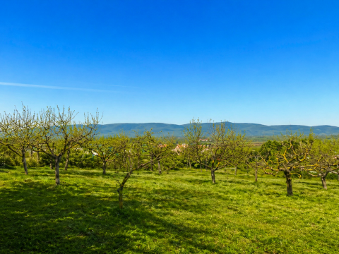 Eladó Telek 2600 Vác 
