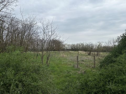 Eladó Mezőgazdasági 6346 Sükösd külterület
