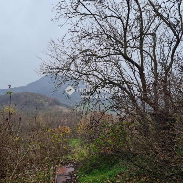 8300 Raposka , 8300 Tapolca, zártkert — 1/9