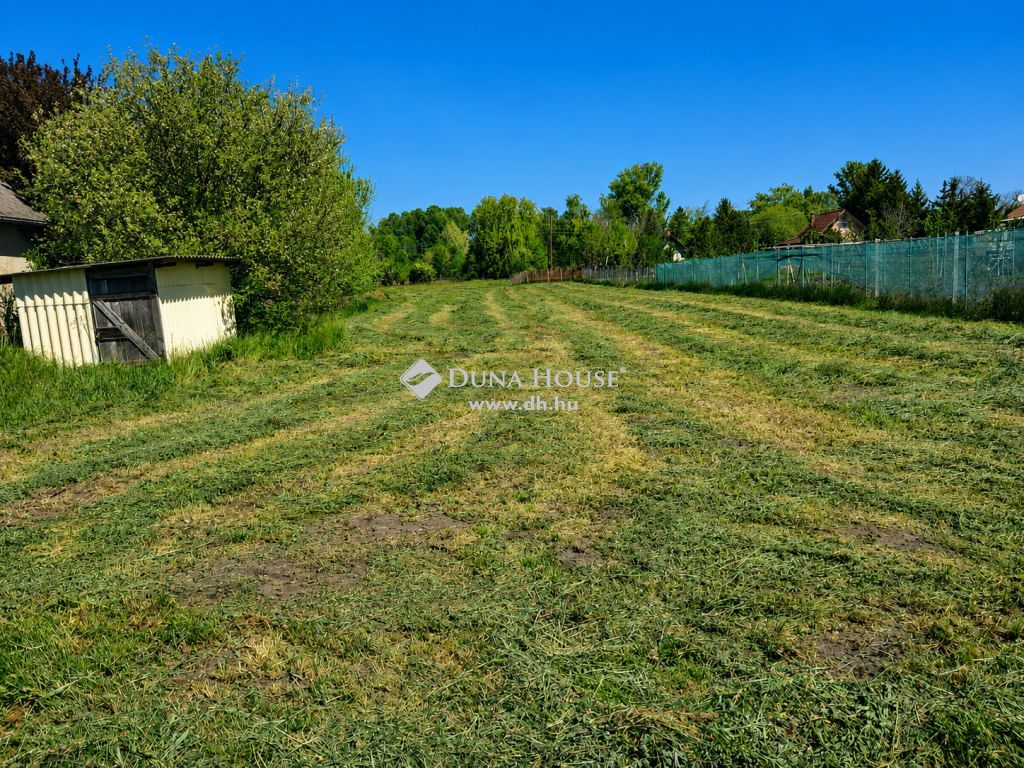 4002 Debrecen — 1/3