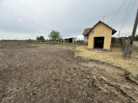 Eladó Telek 6060 Tiszakécske , 6060 Tiszakécske, Külterület