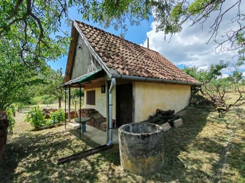 Eladó Mezőgazdasági 7090 Tamási , Bor, panoráma,pince - mi kell még?