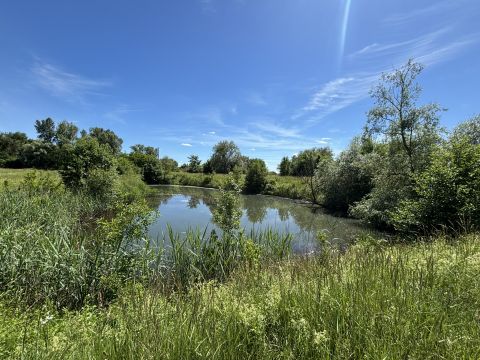 Eladó Telek 8874 Dobri 