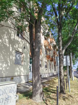 Eladó Lakás 6000 Kecskemét , Egy szobás tégla lakás a belvárosban