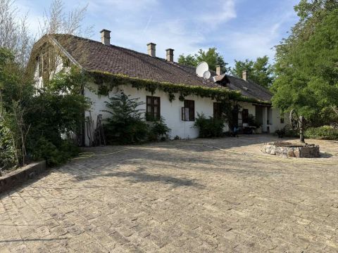 Eladó Ház 2736 Mikebuda Kúria jellegű birtok, boxos lóistállóval, 5700 m2 telekkel