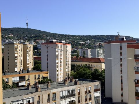 Kiadó Lakás 7624 Pécs 