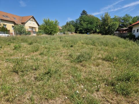 Eladó Telek 2217 Gomba , Gomba csendes utcájában eladó 3341 m2-es építési telek 