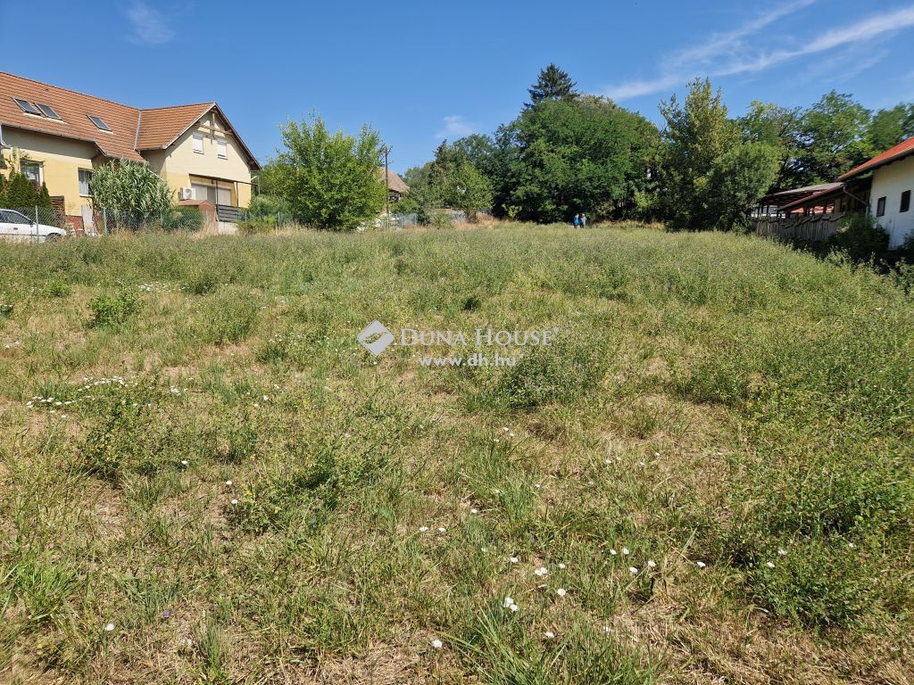 2217 Gomba , Gomba csendes utcájában eladó 3341 m2-es építési telek — 1/5
