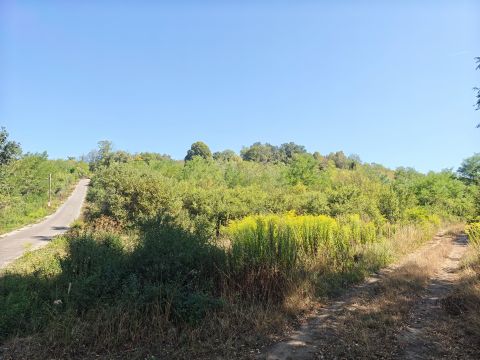 Eladó Mezőgazdasági 3780 Balajt 