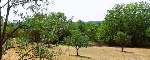 Eladó Telek 8093 Lovasberény 