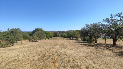 Eladó Telek 2091 Etyek Öreghegyi út