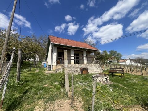Eladó Ház 7815 Harkány , Harkány terehegyi présház