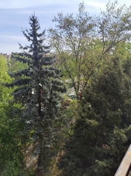 Kiadó Lakás 9400 Sopron , gyorsan költözhető, II. emeleti kétszoba+erkélyes bútorozott