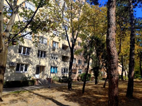 Eladó Lakás 1119 Budapest 11. kerület , Felújított lakás a Rátz László utcában