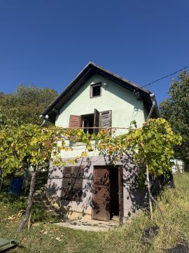 Eladó Ház 8878 Lovászi Eladó lakhatásra alkalmas kisház a természet ölelésében