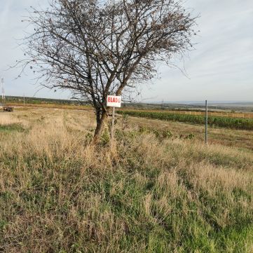 Eladó Telek 9400 Sopron 