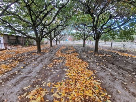 Eladó Telek 2072 Zsámbék , építési telek jó lokációval